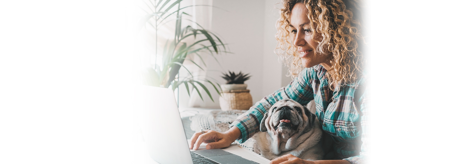 Lady on a computer with a dog. 