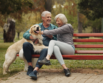 couple on a park bench with golden retriever